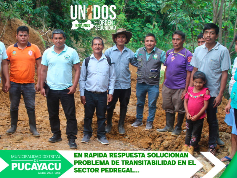 Municipalidad Distrital de Pucayacu – Municipio dio intervención inmediata de emergencia de carretera al sector Pedregal del C.P Consuelo.