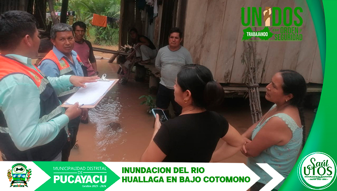 Municipalidad Distrital de Pucayacu – BAJO COTOMONO EN EMERGENCIA POR DESBORDE DEL RIO HUALLAGA.