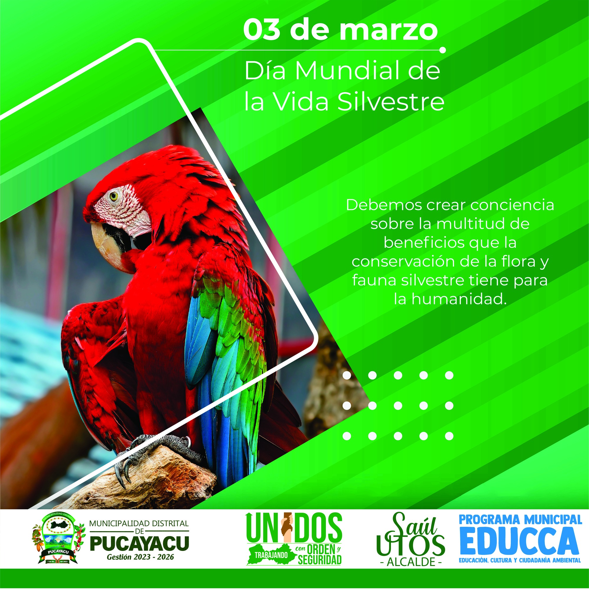 Municipalidad Distrital de Pucayacu – Día Mundial de la Vida Silvestre.