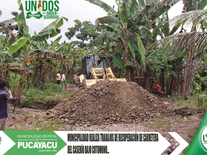 Municipalidad Distrital de Pucayacu – Municipio pucayaquino restablece plataforma de la carretera del caserío Bajo Cotomono.