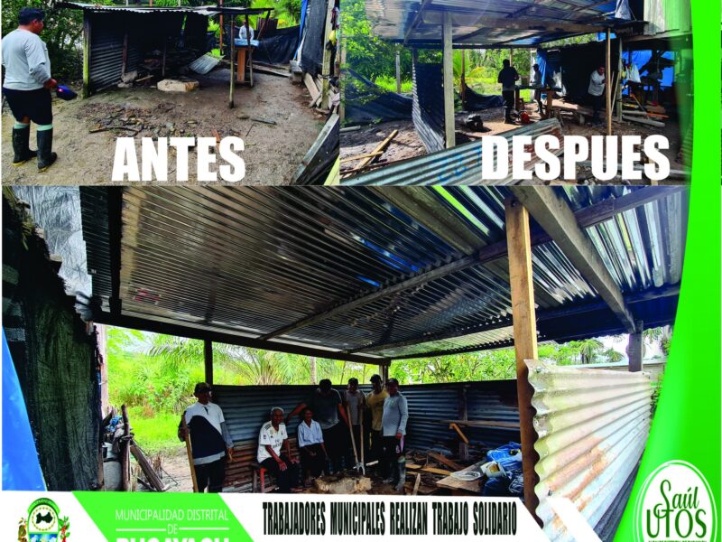 Municipalidad Distrital de Pucayacu – Solidaria acción: Trabajadores municipales mejoran cocina de familia en situación de vulnerabilidad.