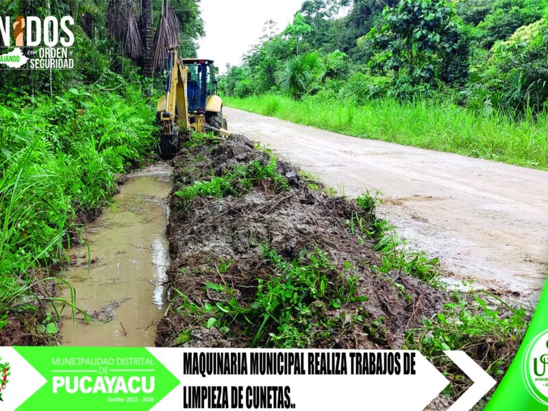 Municipalidad Distrital de Pucayacu – Maquinaria pesada realiza limpieza de cunetas tramo Caymito – La Loma.