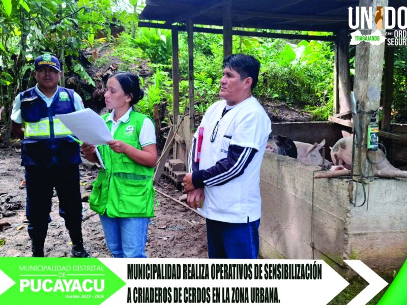 Municipalidad Distrital de Pucayacu – MDP supervisa y exhorta a criadores de cerdos.