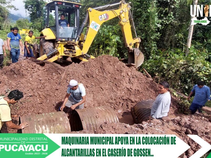 Municipalidad Distrital de Pucayacu – Maquinaria municipal apoyo en colocación de alcantarillas en el caserío de Gossen.