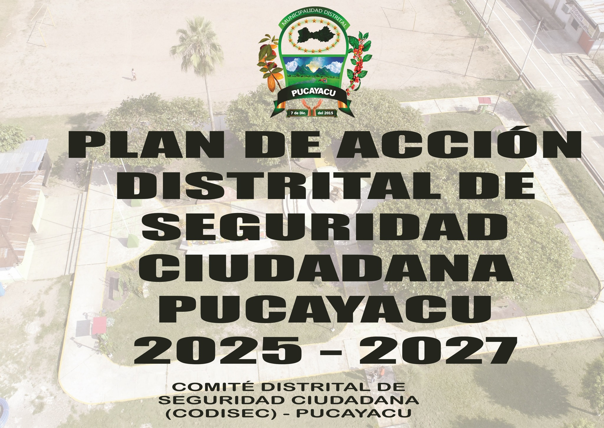 Municipalidad Distrital de Pucayacu – Actualizan Plan de Acción Distrital de Seguridad Ciudadana.