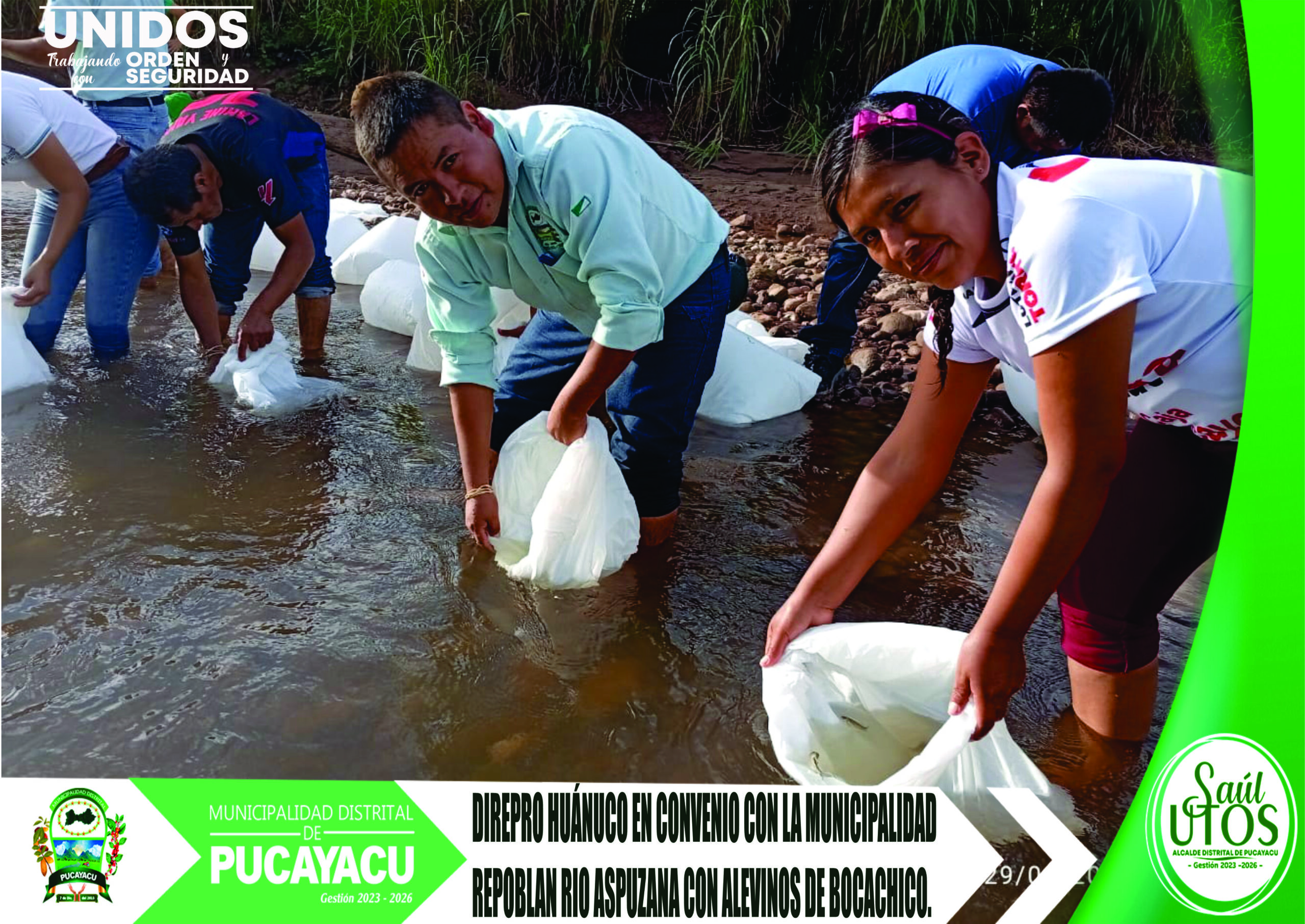 Municipalidad Distrital de Pucayacu – DIREPRO Huánuco a través de la municipalidad realizaron repoblamiento de peces en el rio Aspuzana.