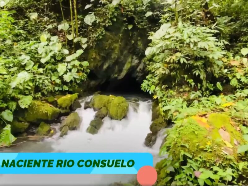 PUCAYACU SE PREPARA PARA LA SEMANA SANTA, EN ESTAS FECHAS IMPORTANTES DE RECOGIMIENTO Y REFLEXIÓN INVITAMOS A TURISTAS NACIONALES Y EXTRANJEROS A VISITAR NUESTROS ATRACTIVOS TURÍSTICOS, CADA UNO DE ELLOS CERTIFICADOS POR EL MINISTERIO DE COMERCIO EXTERIOR Y TURISMO – MINCETUR.
