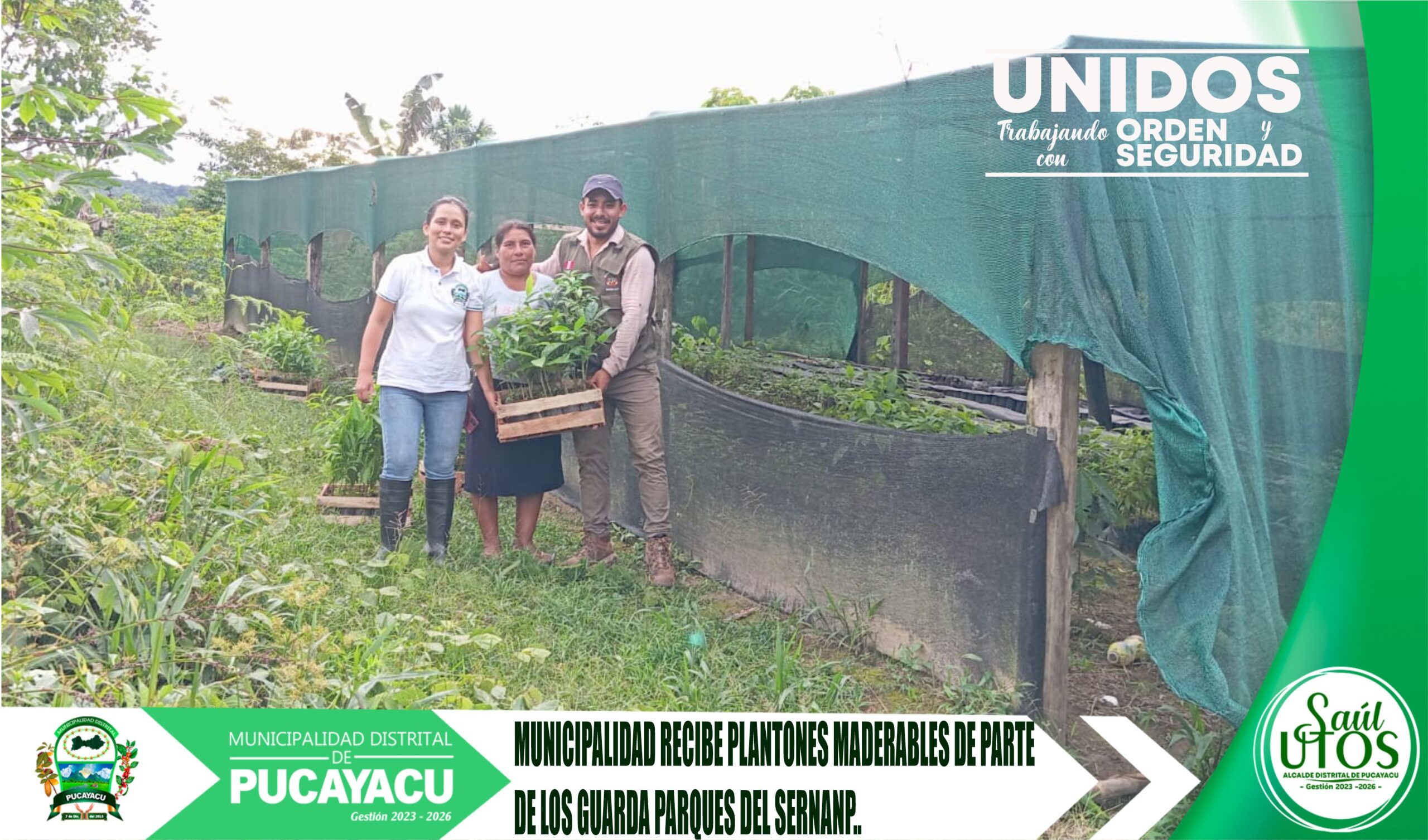 Municipalidad Distrital de Pucayacu – Municipalidad recibe plantones maderables de parte el SERNANP.