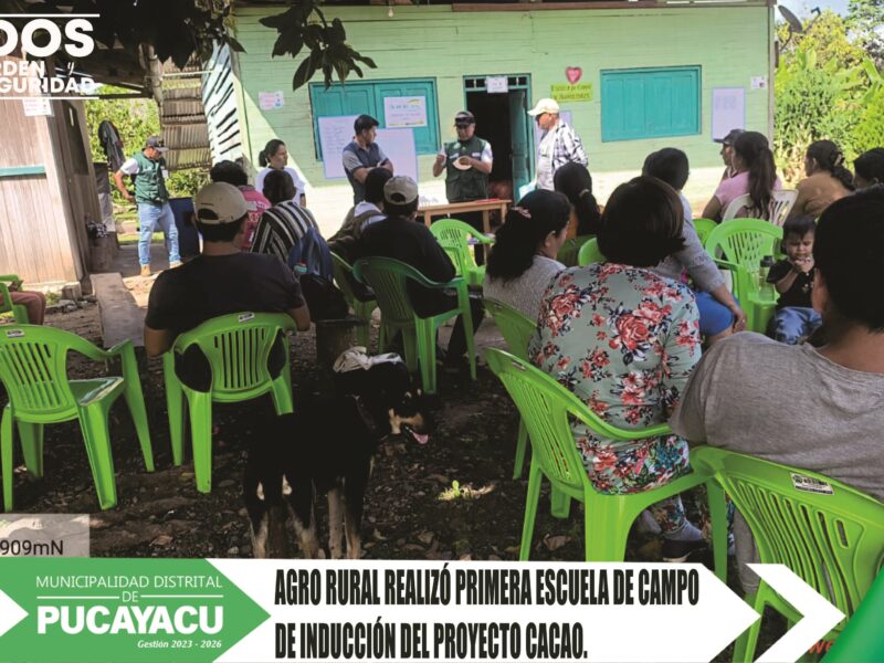 Municipalidad Distrital de Pucayacu – Desarrollan Escuela de Campo del Proyecto Cacao de Agro Rural en el sector Vista Alegre.