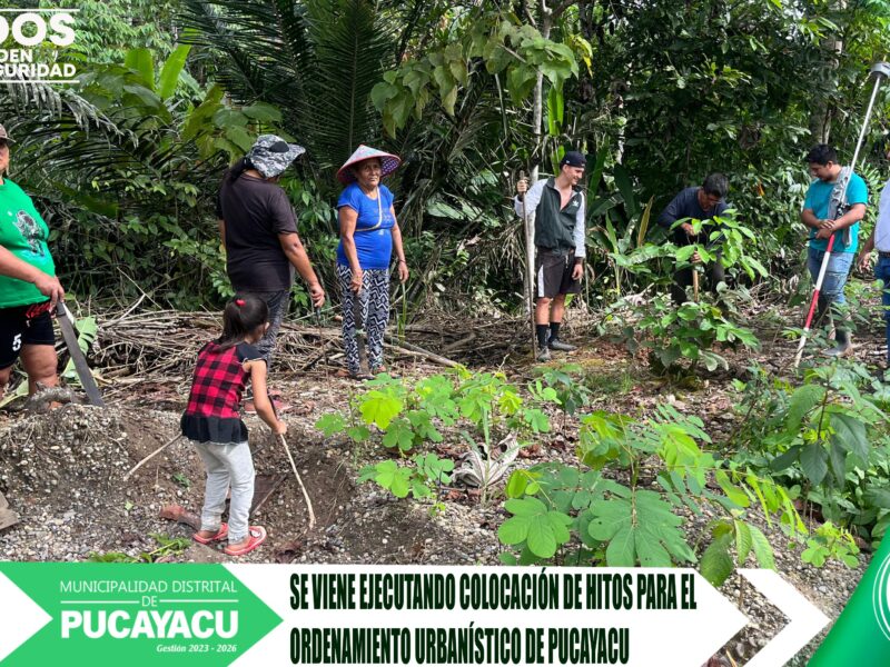 Municipalidad Distrital de Pucayacu – Pucayacu aprobó el Plan de Trabajo de Ordenamiento Territorial de la Zona Urbana.