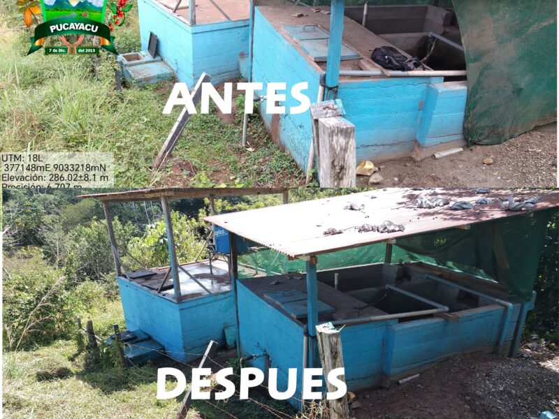 Municipalidad Distrital de Pucayacu – Subgerencia de Servicios de Saneamientos y Jass los Ángeles realizan limpieza y desinfección del sistema de agua potable.