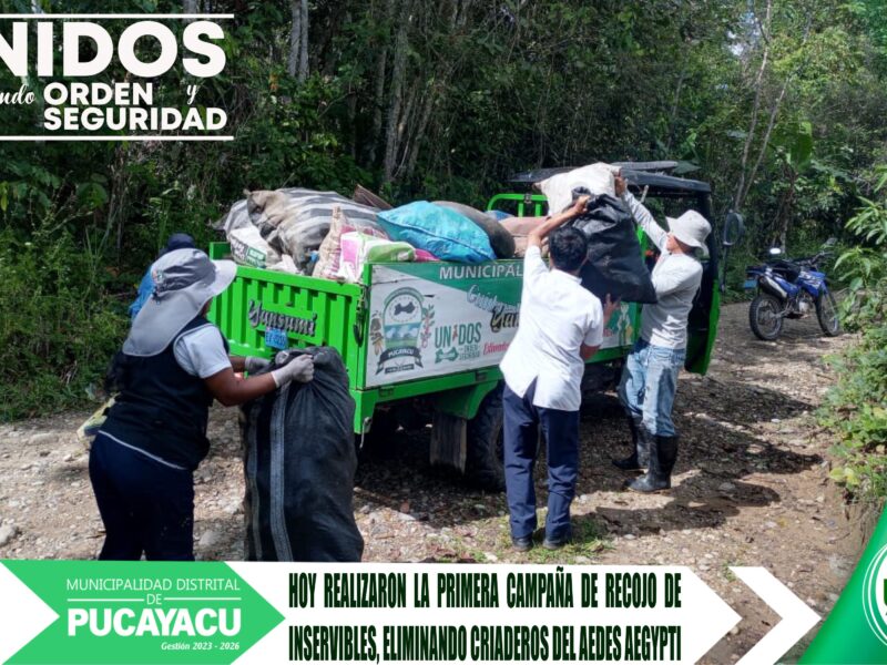 Municipalidad Distrital de Pucayacu – Con éxito se llevó a cabo la Primera Campaña de Recojo y Eliminación de criaderos de Aedes Aegypti.