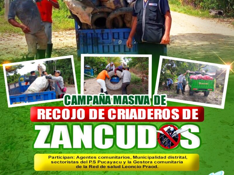 Municipalidad Distrital de Pucayacu – CAMPAÑA: Recojo de criaderos de zancudos para la PREVENCIÓN DEL DENGUE.