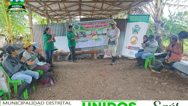 𝐄𝐋 𝐏𝐑𝐎𝐘𝐄𝐂𝐓𝐎 𝐏𝐋𝐀́𝐓𝐀𝐍𝐎 𝐃𝐄 𝐋𝐀 𝐌𝐔𝐍𝐈𝐂𝐈𝐏𝐀𝐋𝐈𝐃𝐀𝐃 𝐃𝐈𝐒𝐓𝐑𝐈𝐓𝐀𝐋 𝐃𝐄 𝐏𝐔𝐂𝐀𝐘𝐀𝐂𝐔 𝐕𝐈𝐄𝐍𝐄 𝐑𝐄𝐀𝐋𝐈𝐙𝐀𝐍𝐃𝐎 𝐄𝐒𝐂𝐔𝐄𝐋𝐀𝐒 𝐃𝐄 𝐂𝐀𝐌𝐏𝐎 𝐀 𝐋𝐎𝐒 𝐀𝐆𝐑𝐈𝐂𝐔𝐋𝐓𝐎𝐑𝐄𝐒 (𝐄𝐂𝐀) 𝐄𝐍 𝐃𝐈𝐅𝐄𝐑𝐄𝐍𝐓𝐄𝐒 𝐂𝐎𝐌𝐔𝐍𝐈𝐃𝐀𝐃𝐄𝐒 𝐁𝐄𝐍𝐄𝐅𝐈𝐂𝐈𝐀𝐑𝐈𝐀𝐒.