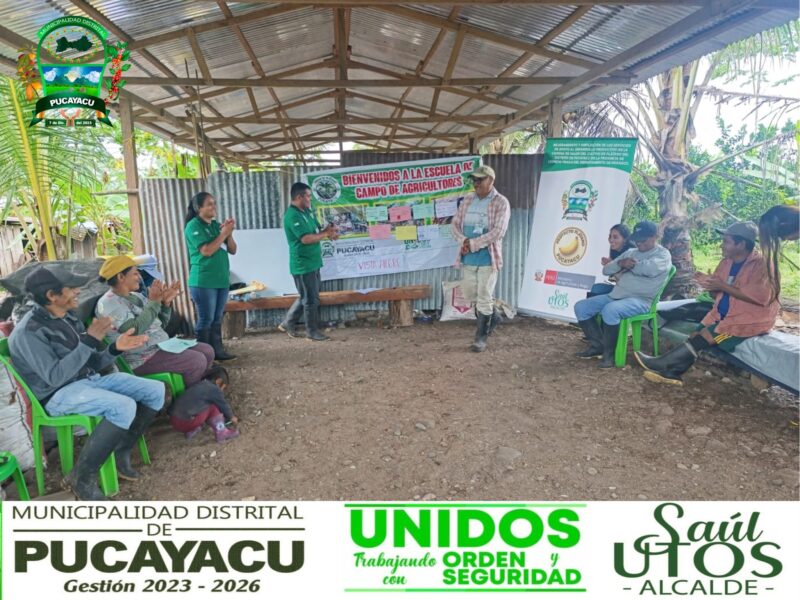 𝐄𝐋 𝐏𝐑𝐎𝐘𝐄𝐂𝐓𝐎 𝐏𝐋𝐀́𝐓𝐀𝐍𝐎 𝐃𝐄 𝐋𝐀 𝐌𝐔𝐍𝐈𝐂𝐈𝐏𝐀𝐋𝐈𝐃𝐀𝐃 𝐃𝐈𝐒𝐓𝐑𝐈𝐓𝐀𝐋 𝐃𝐄 𝐏𝐔𝐂𝐀𝐘𝐀𝐂𝐔 𝐕𝐈𝐄𝐍𝐄 𝐑𝐄𝐀𝐋𝐈𝐙𝐀𝐍𝐃𝐎 𝐄𝐒𝐂𝐔𝐄𝐋𝐀𝐒 𝐃𝐄 𝐂𝐀𝐌𝐏𝐎 𝐀 𝐋𝐎𝐒 𝐀𝐆𝐑𝐈𝐂𝐔𝐋𝐓𝐎𝐑𝐄𝐒 (𝐄𝐂𝐀) 𝐄𝐍 𝐃𝐈𝐅𝐄𝐑𝐄𝐍𝐓𝐄𝐒 𝐂𝐎𝐌𝐔𝐍𝐈𝐃𝐀𝐃𝐄𝐒 𝐁𝐄𝐍𝐄𝐅𝐈𝐂𝐈𝐀𝐑𝐈𝐀𝐒.