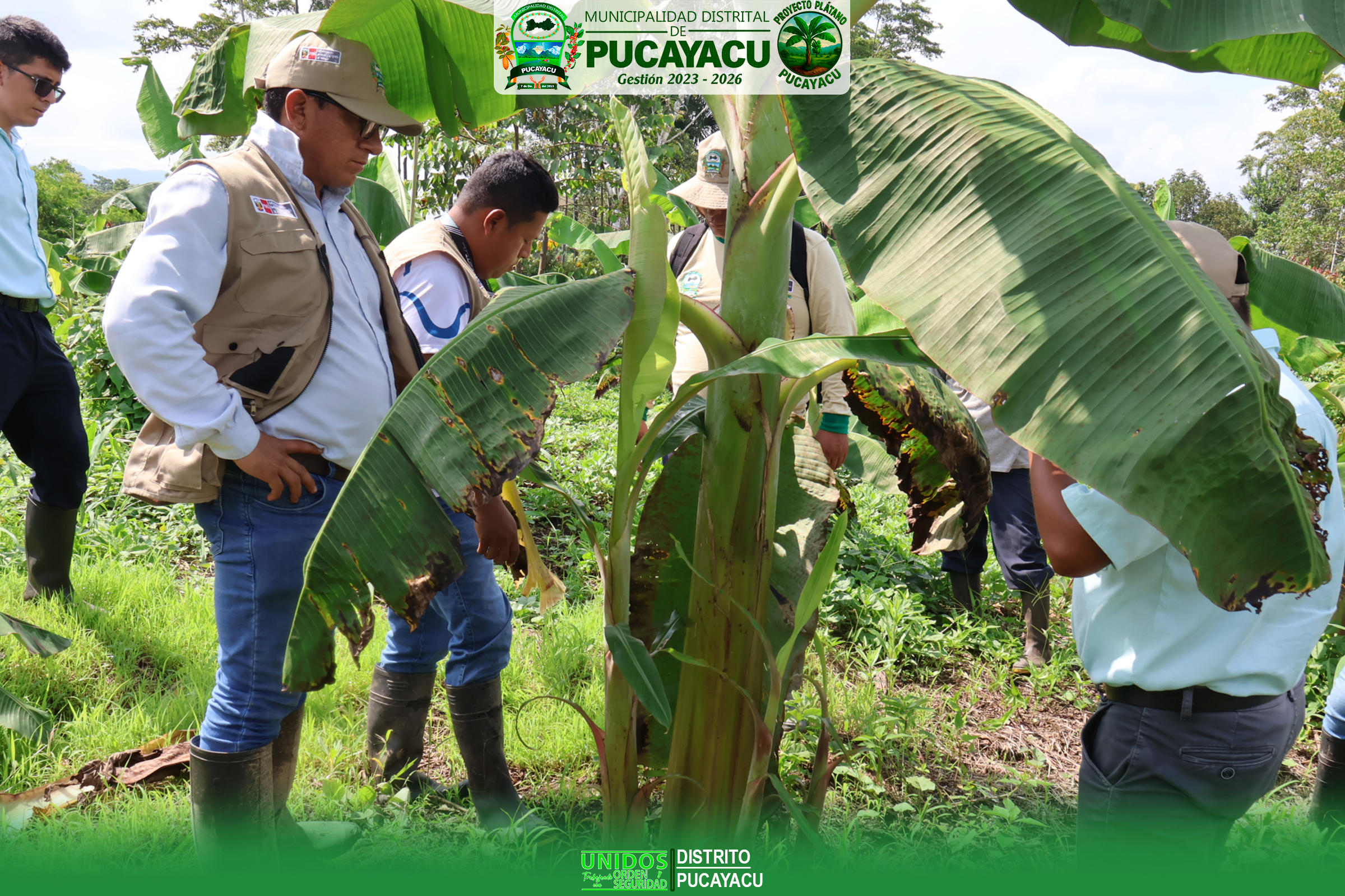 𝗩𝗜𝗦𝗜𝗧𝗔 𝗜𝗡𝗢𝗣𝗜𝗡𝗔𝗗𝗔 𝗔 𝗟𝗔𝗦 𝗣𝗔𝗥𝗖𝗘𝗟𝗔𝗦 – 𝗣𝗥𝗢𝗬𝗘𝗖𝗧𝗢 𝗣𝗟𝗔́𝗧𝗔𝗡𝗢