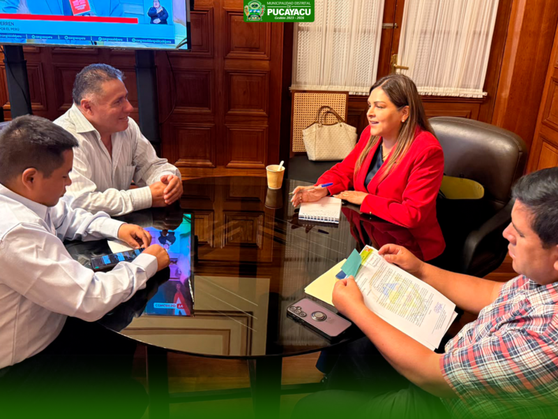 REUNIÓN DE COORDINACIÓN PARA IMPULSAR PROYECTOS DE INVERSIÓN EN PUCAYACU